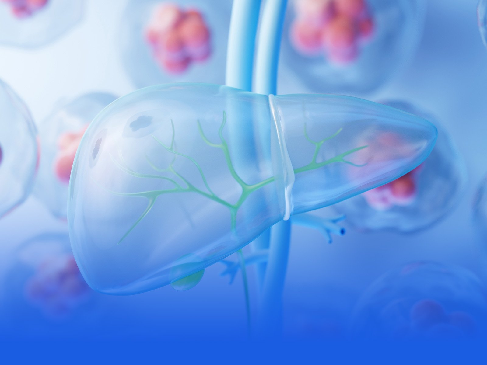 Antioxidation and Liver Health