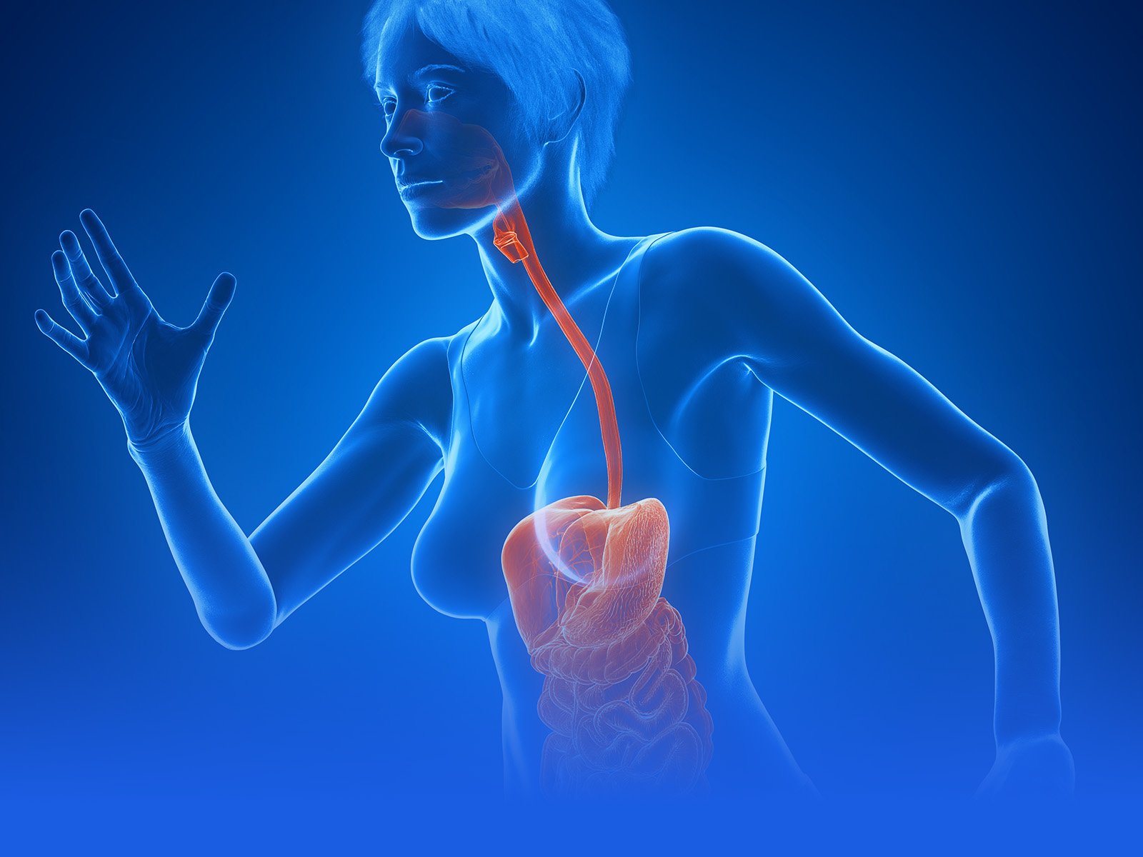 Metabolic and Endocrine Regulation